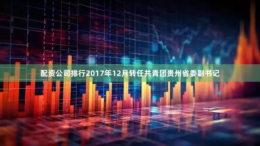 配资公司排行2017年12月转任共青团贵州省委副书记